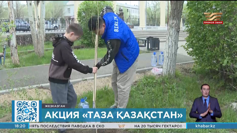 100 тополей высадили в Жезказгане в рамках акции «Таза Қазақстан»