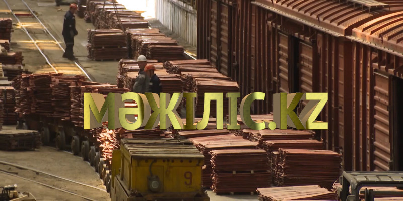 Казахстанский рынок очистят от опасной продукции. «Мәжіліс.kz»