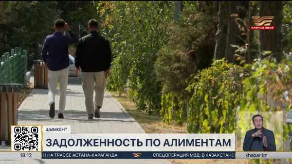 Долги по алиментам в Шымкенте превысили ₸4,6 млрд