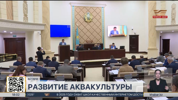Рыбное хозяйство получит новые виды господдержки