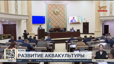 Рыбное хозяйство получит новые виды господдержки