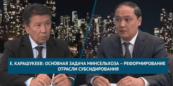 Е. Карашукеев: Основная задача Минсельхоза &ndash; реформирование отрасли субсидирования. &laquo;Национальный интерес&raquo;