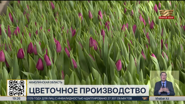 Почти 5 млн цветов ежегодно выращивают в Акмолинской области