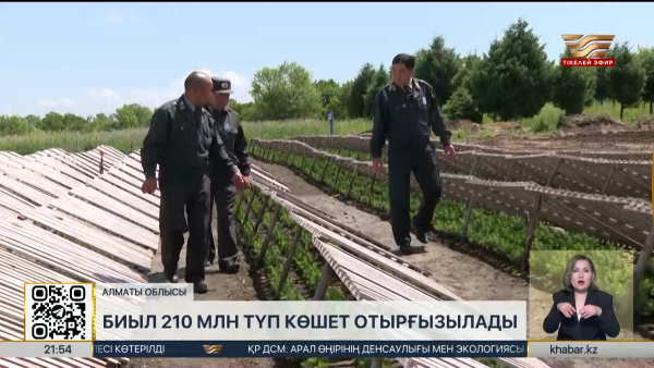 Биыл еліміз бойынша 210 миллион көшет отырғызылады