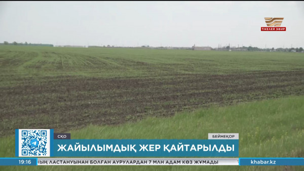 СҚО-да 54 мың гектар жайылымдық жер заңсыз берілген