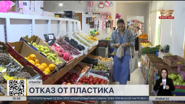 Казахстан не готов полностью отказаться от полиэтиленовых пакетов к 2025 году