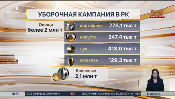 Более четверти урожая зерновых убрали казахстанские аграрии