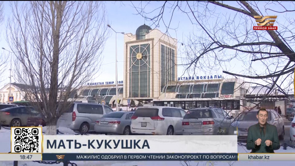 Бросившая ребенка на вокзале мать-кукушка доставлена в полицию