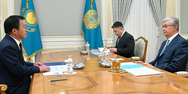 Глава государства принял председателя правления корпоративного фонда University Medical Center Юрия Пя