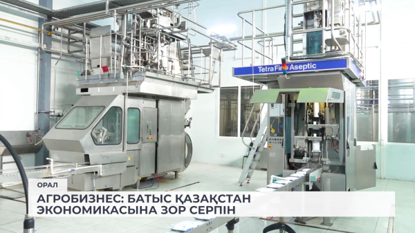 Батыс Қазақстан облысындағы тың серпін