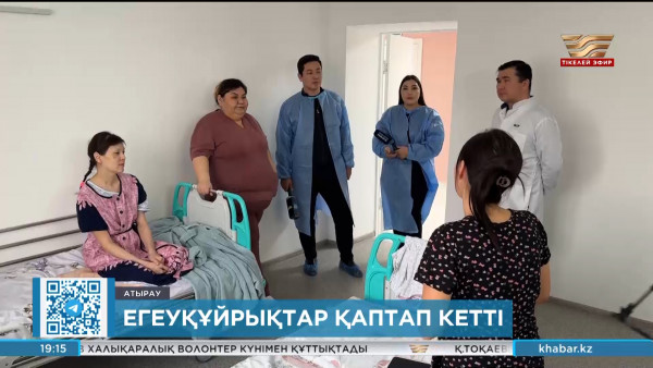 Атыраудағы ауруханада егеуқұйрықтар қаптап кетті