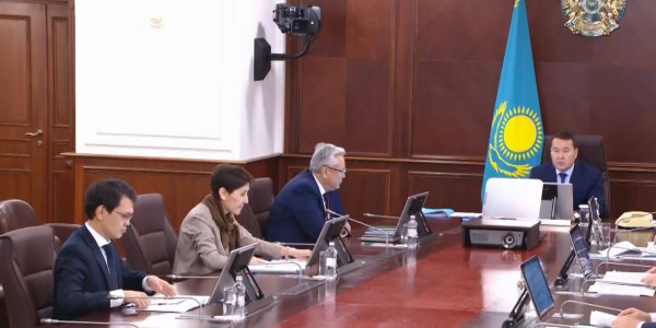 В Правительстве рассмотрели меры по борьбе с лесными пожарами