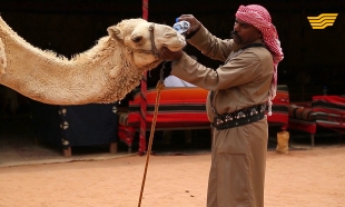 &laquo;Тур де Хабар&raquo;. Йордания. Ақаба қаласы, Суец каналы, Оман Сұлтанаты