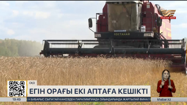 СҚО-да жауын-шашын егін орағын кешіктіріп жатыр
