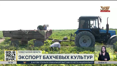 Бизнес по выращиванию бахчевых культур развивается на юге Казахстана