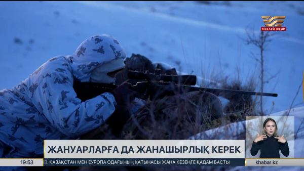 Қазақстанда жануарларға қатыгездік үшін жаза күшейтіледі