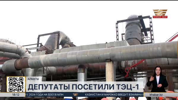Депутаты Мажилиса посетили ТЭЦ-1 в Алматы
