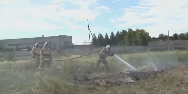 ШҚО-да мал азығы өртеніп кетті