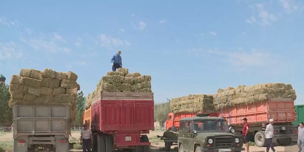 В регионах создаются фонды помощи пострадавшим от засухи