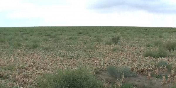 2025 жылға дейін 9 су қоймасы салынады