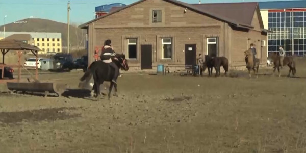 Конная школа Усть-Каменогорска лишилась тренировочных площадей