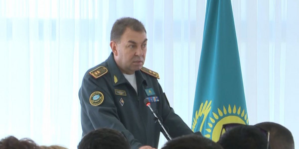 Ситуацию с лесными пожарами прокомментировал глава МЧС