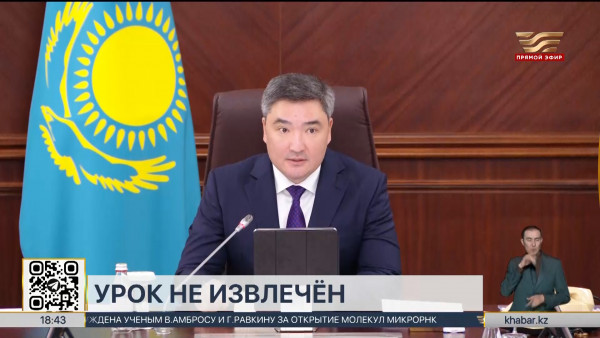 Премьер-министр раскритиковал готовность лесных организаций к пожарам