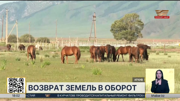 Почти 14 млн гектаров земель возвращено в собственность государства