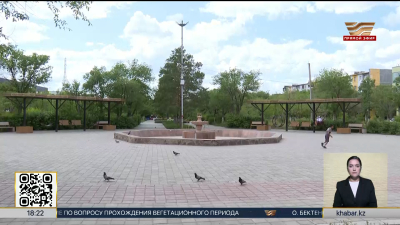 Жители Жезказгана просят улучшить полив зелёных насаждений