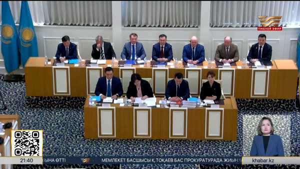 Елде конституциялық комиссия жұмысын бастады