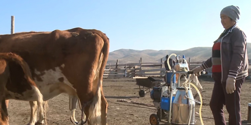 Контроль за качеством сырого молока ужесточат в Казахстане