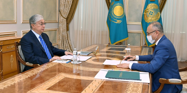 Наталья Годунова мен Ғалымжан Пірматов Президентке есеп берді