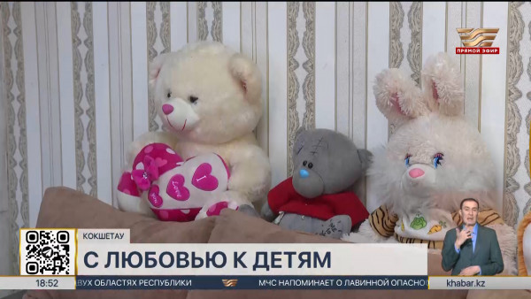 Одиннадцать  приемных детей усыновила жительница Кокшетау