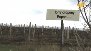 &laquo;Бюро расследований&raquo;. По ту сторону Европы...