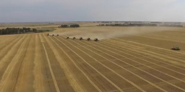 Тұқым тапшылығы болуы мүмкін