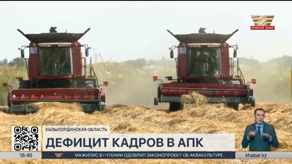Дефицит кадров наблюдается в агросфере Кызылординской области