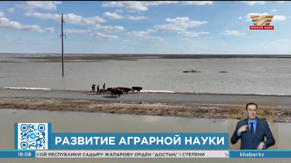 Противостоять глобальным природным вызовам: развитие аграрной науки обсудили ученые