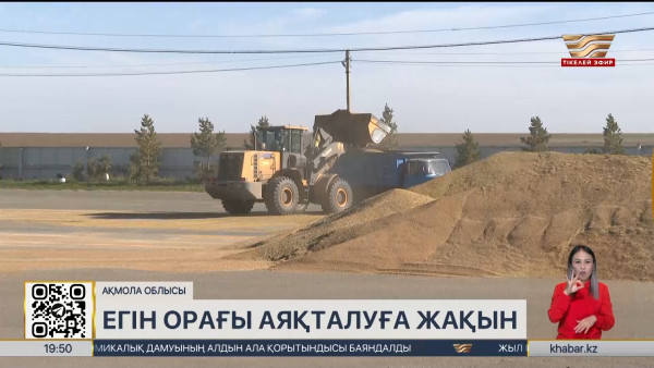 Ақмола облысында ауа райына байланысты егін орағы тұралап қалды