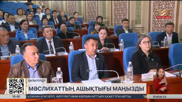Сенаторлар e-Maslikhat атты бірыңғай цифрлық платформаны әзірлеуді ұсынды