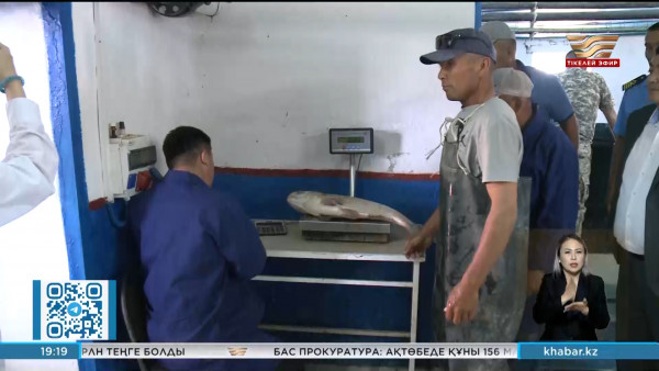 Қызылорда облысында балық қоры көбейеді