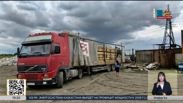Заражённую древесину пытались завезти в СКО