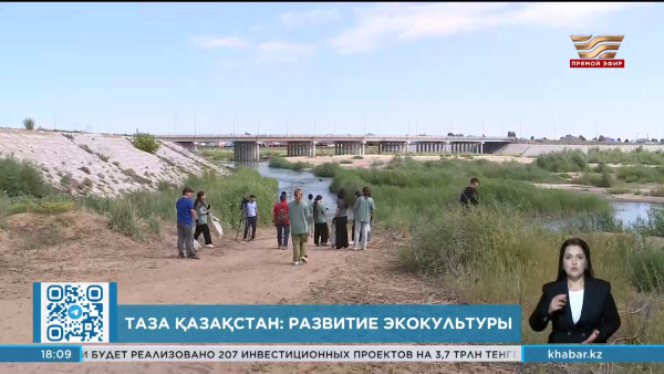 Концепцию развития экологической культуры среди населения разрабатывают в правительстве