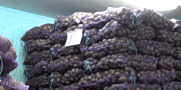 В Уральске поднялись цены на продукты