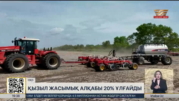 СҚО-да қызыл жасымық алқабы 20% ұлғайды