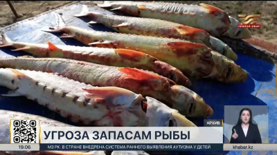 Казахстан рискует потерять часть промысловых рыб из-за браконьерства