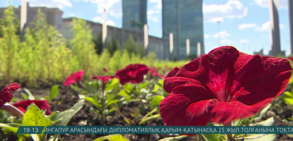 Астанада 120 мың шаршы метрден астам жерге гүл отырғызылады