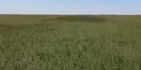 В Жамбылской области задержана преступная группа изготавливающая синтетические наркотики