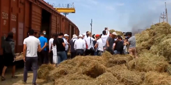 Түркістандықтар Маңғыстау өңіріне мың тоннаға жуық жем-шөп жөнелтті