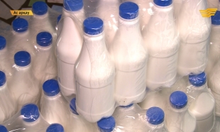 &laquo;Ас арқау&raquo;. Табиғи шикізат, түйе сүті