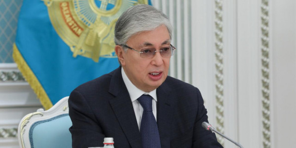 Глава государства встретился с руководством НПП &laquo;Атамекен&raquo;